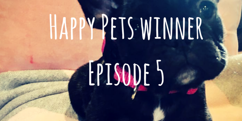 Happy Pet of the Week Episode 5