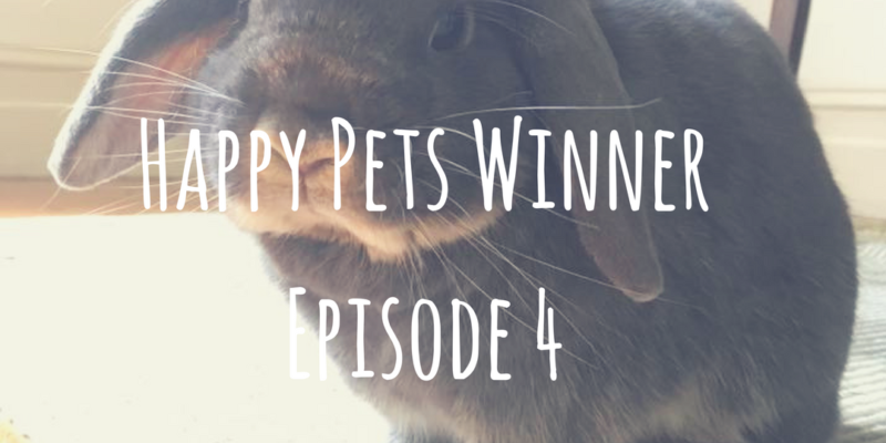 Happy Pets Winner Episode 4