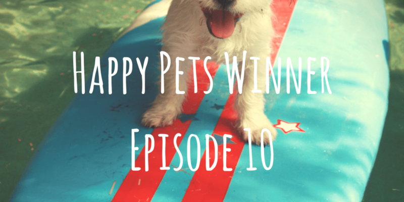 Happy Pets Winner Episode 10